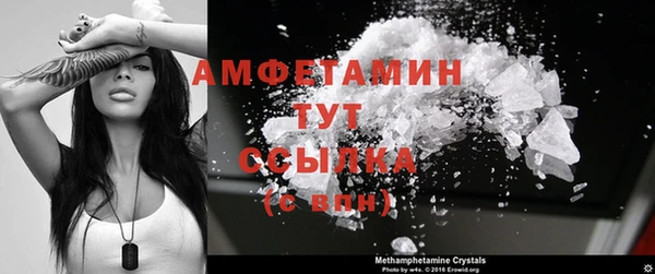 стаф Горняк