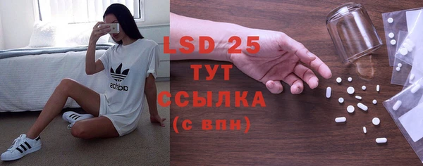 стаф Горняк