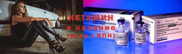 индика Беломорск