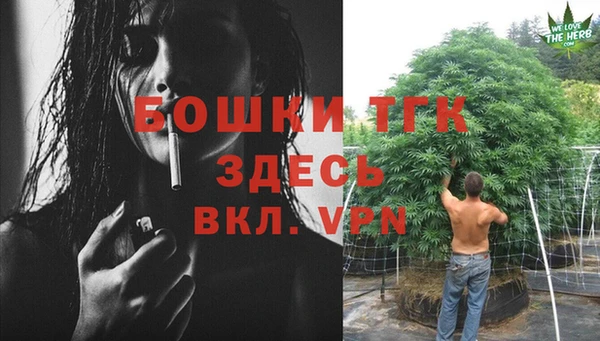 индика Беломорск