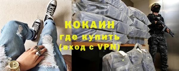 стаф Горняк