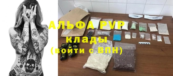 стаф Горняк