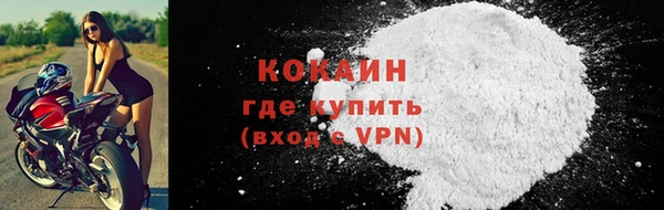 индика Беломорск